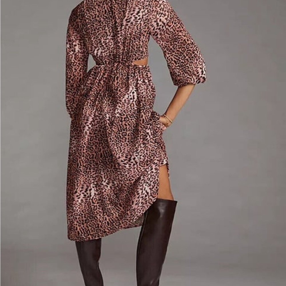 Anthropologie Leopard dress - Picture 3 of 7